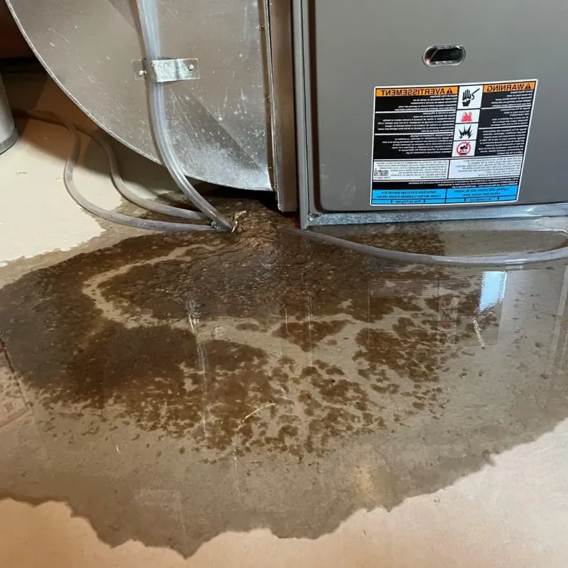 Pipe Burst and Leak Restoration in Fairland, OK
